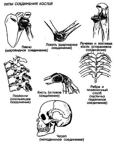 Шокирующая правда о воде и соли any2fbimgloader11.jpeg