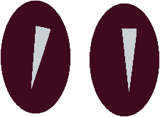 Мастер кроется в деталях... i_04_03_2_09.png