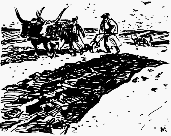 Золотой человек p0204.png
