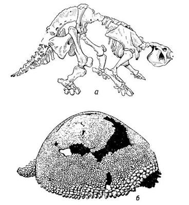 Большая Советская Энциклопедия (ГЛ) i009-001-235679497.jpg