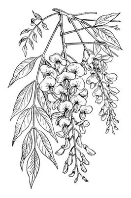 Большая Советская Энциклопедия (ГЛ) i009-001-240123389.jpg