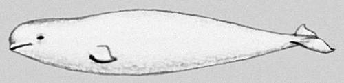 Большая Советская Энциклопедия (КИ) i009-001-210511995.jpg