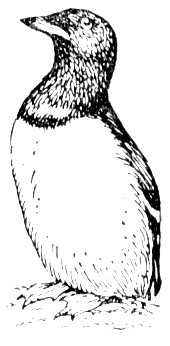 Большая Советская Энциклопедия (ЛЮ) i009-001-215282088.jpg