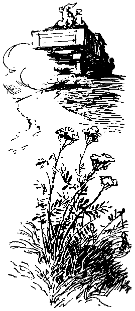 Морской охотник. Домик на реке pic_33.png