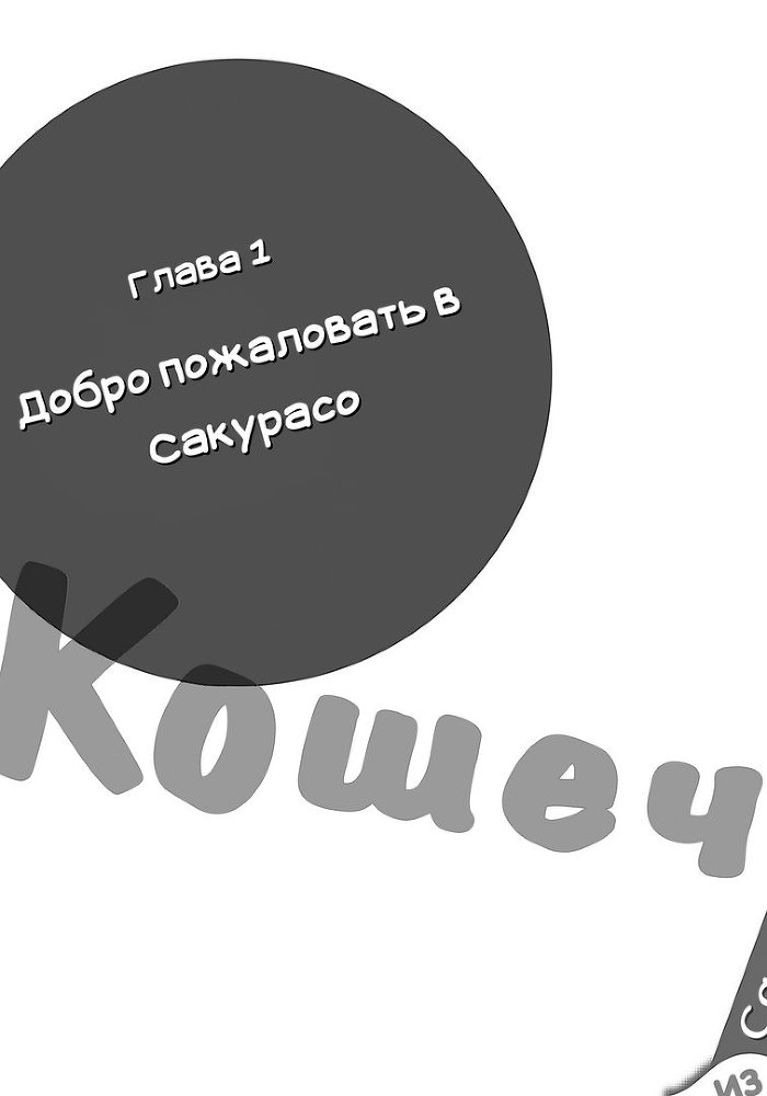 Кошечка из Сакурасо - 1 img_3225