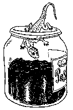 Я - кот и мореплаватель pic_15.png