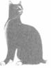 Cat Laughing Last pic_14.jpg