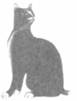 Cat Laughing Last pic_19.jpg