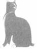 Cat Laughing Last pic_21.jpg