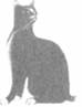 Cat Laughing Last pic_23.jpg