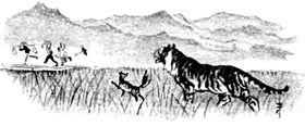 i_019.jpg