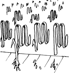 Изобретения Дедала img037.png