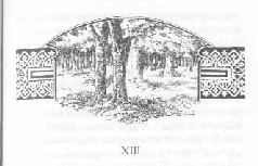 Том 29. Так велела царица Царский гнев Юркин хуторок pic_43.png