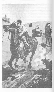 Том 29. Так велела царица Царский гнев Юркин хуторок pic_71.png