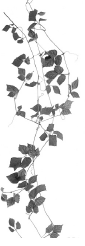 Планировка, ремонт и дизайн квартиры своими руками i_141.png