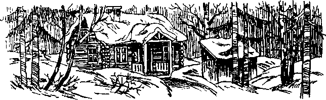 Папа, мама, восемь детей и грузовик (илл. Юхан Вестли) i_017.png