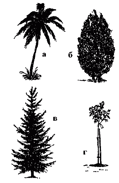 Узнай коэффициент интеллекта своего ребенка i_017.png