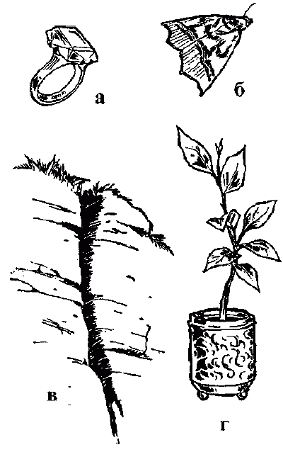 Узнай коэффициент интеллекта своего ребенка i_034.png