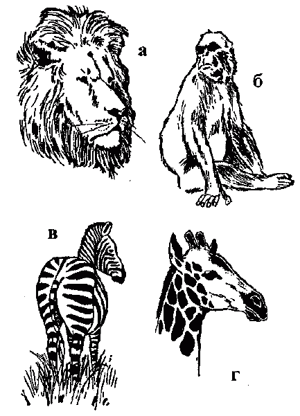 Узнай коэффициент интеллекта своего ребенка i_041.png