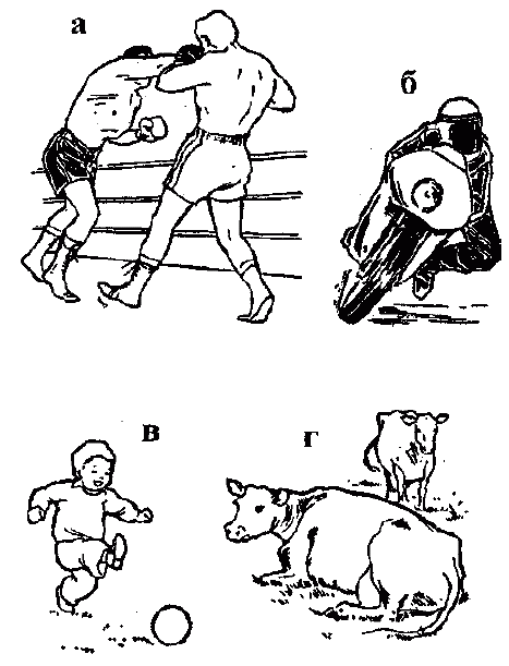 Узнай коэффициент интеллекта своего ребенка i_042.png