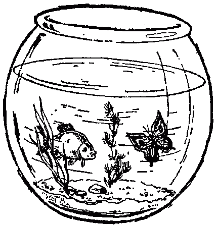 Узнай коэффициент интеллекта своего ребенка i_050.png