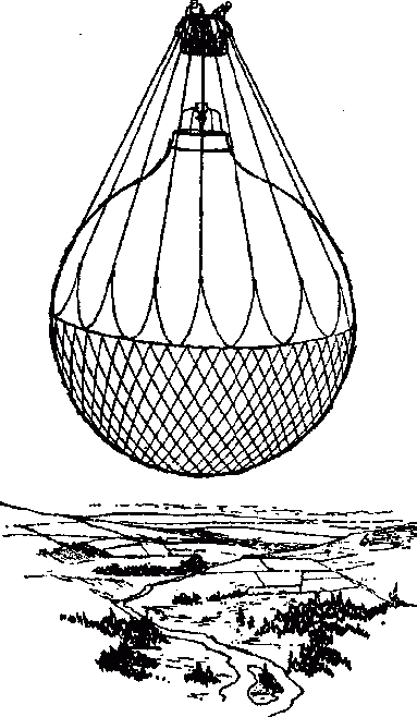 Узнай коэффициент интеллекта своего ребенка i_055.png