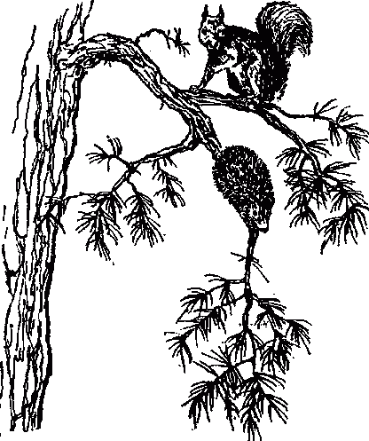 Узнай коэффициент интеллекта своего ребенка i_058.png