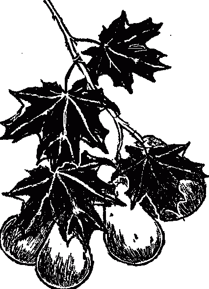 Узнай коэффициент интеллекта своего ребенка i_059.png