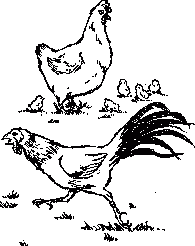 Узнай коэффициент интеллекта своего ребенка i_060.png