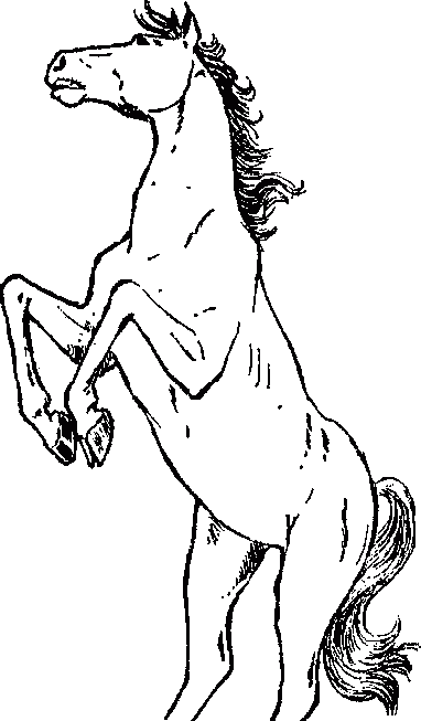 Узнай коэффициент интеллекта своего ребенка i_066.png