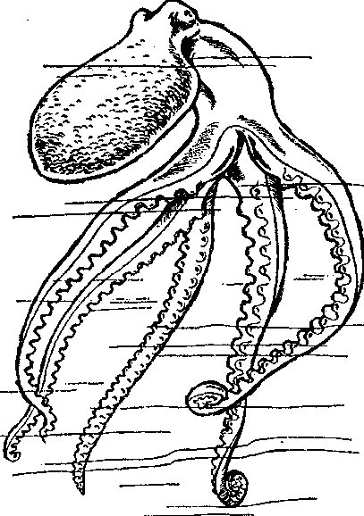 Узнай коэффициент интеллекта своего ребенка i_067.png