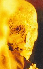 Журнал «Вокруг Света» №4 за 1997 год _7036.jpg