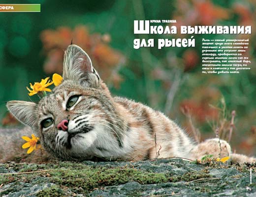 Журнал «Вокруг Света» № 4 за 2005 год any2fbimgloader20.jpeg