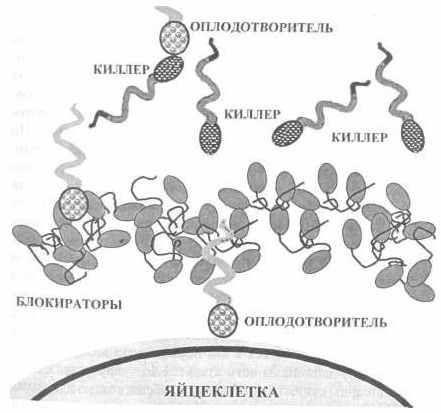 Счастье и брак i_005.jpg
