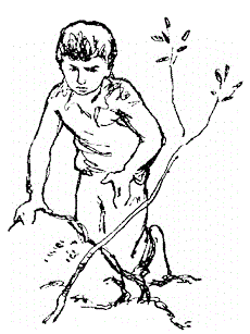 Неделя приключений i_034.png