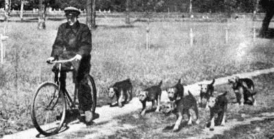 Твой друг (сборник по собаководству, 1973 г.) i_028.jpg