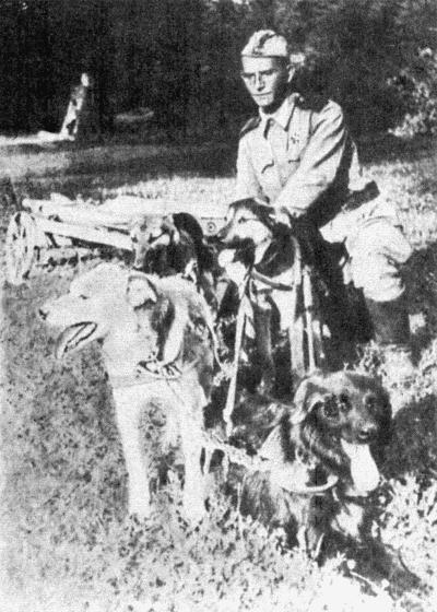 Твой друг (сборник по собаководству, 1973 г.) i_031.jpg