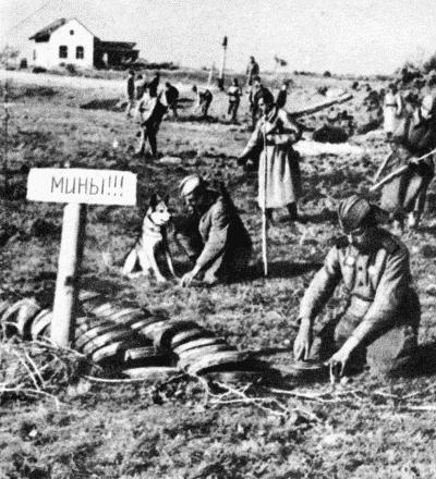 Твой друг (сборник по собаководству, 1973 г.) i_032.jpg