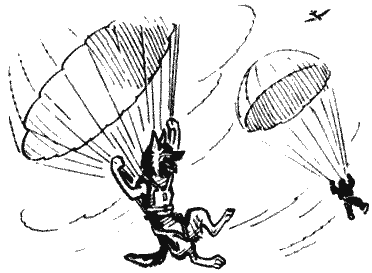 Твой друг (сборник по собаководству, 1973 г.) i_034.png