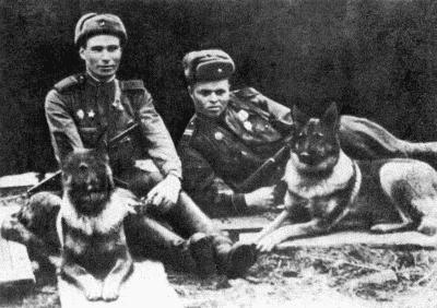Твой друг (сборник по собаководству, 1973 г.) i_037.jpg