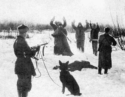 Твой друг (сборник по собаководству, 1973 г.) i_038.jpg