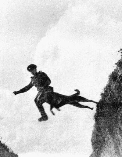 Твой друг (сборник по собаководству, 1973 г.) i_041.jpg