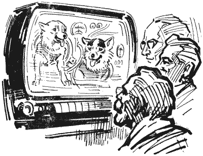 Твой друг (сборник по собаководству, 1973 г.) i_044.png
