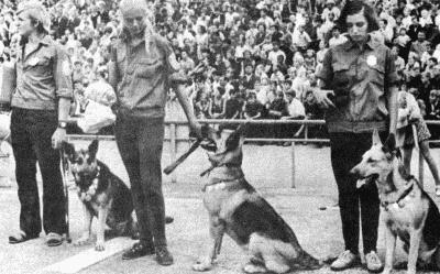 Твой друг (сборник по собаководству, 1973 г.) i_077.jpg