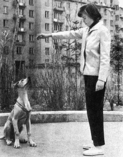 Твой друг (сборник по собаководству, 1973 г.) i_095.jpg