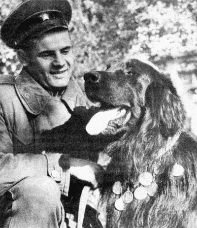 Твой друг (сборник по собаководству, 1973 г.) i_097.jpg