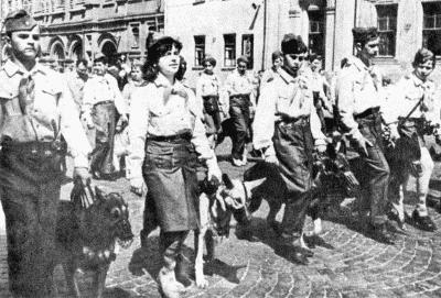 Твой друг (сборник по собаководству, 1973 г.) i_098.jpg