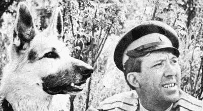 Твой друг (сборник по собаководству, 1973 г.) i_104.jpg