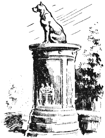 Твой друг (сборник по собаководству, 1973 г.) i_014.png