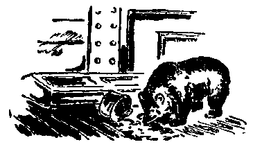 Спор на корабле pic_14.png